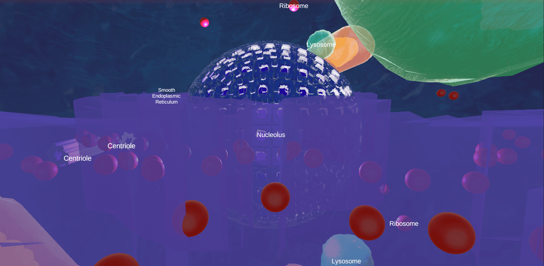 Interactive Cell Explorer